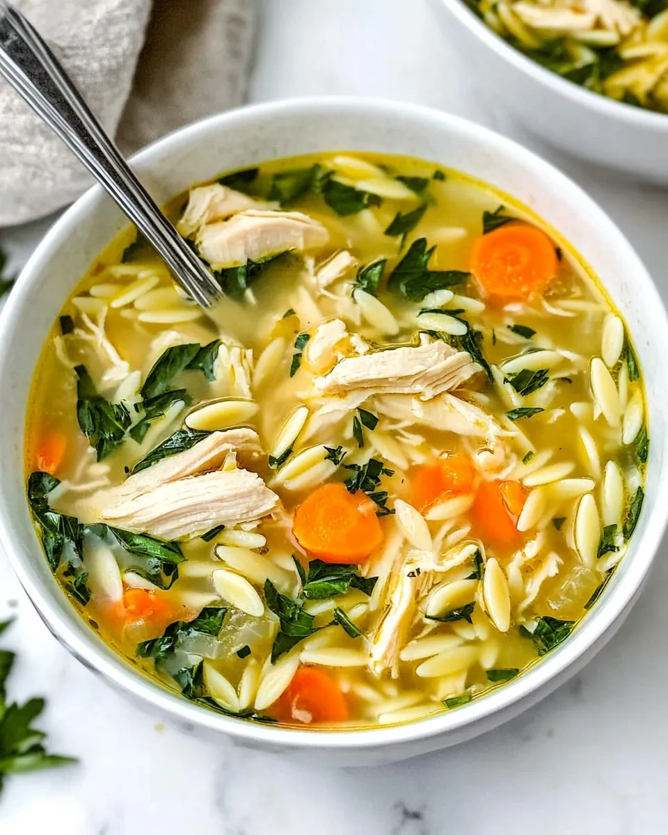 Delicious Easy Lemon Chicken Orzo Soup Recipe shot