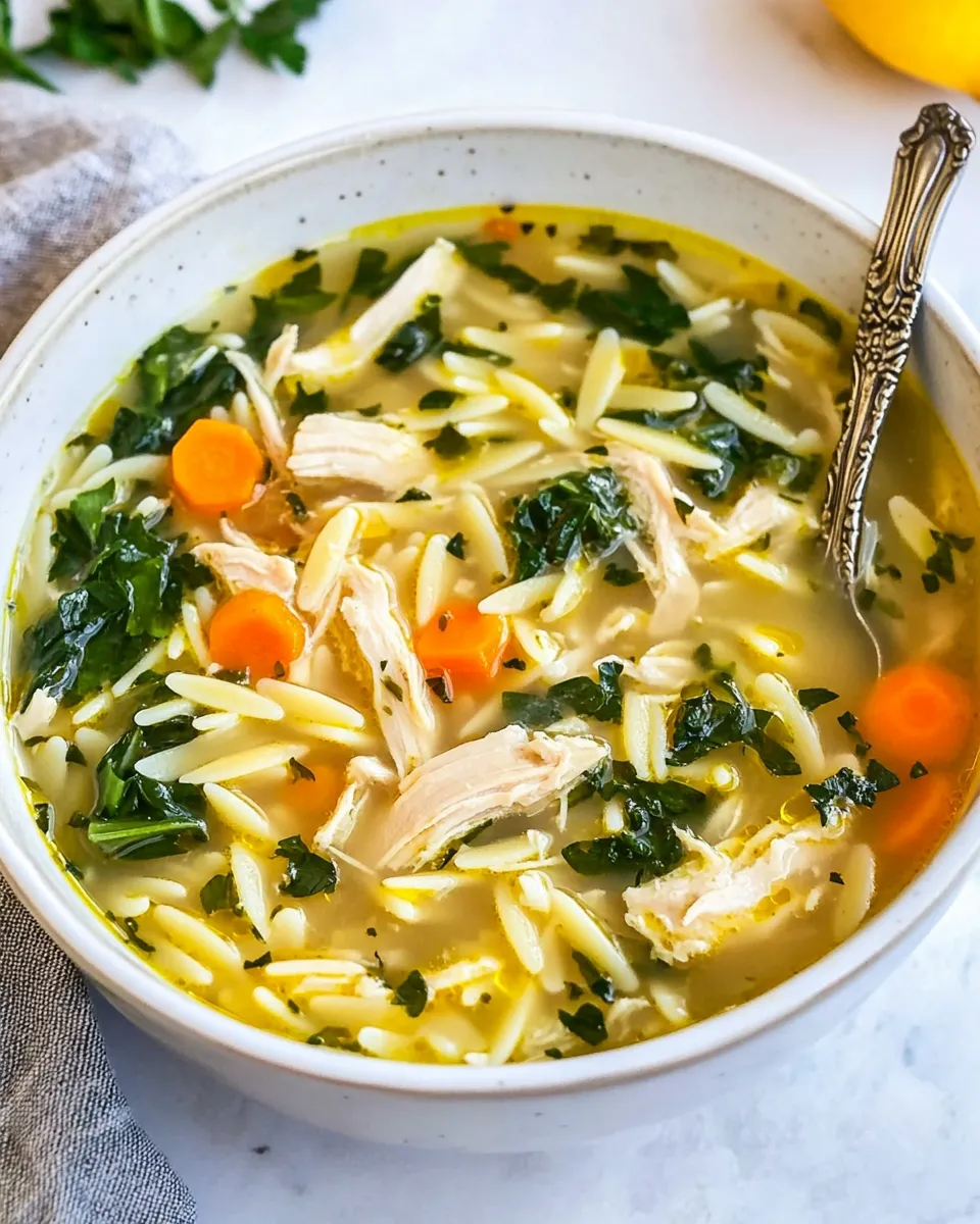 Quick Easy Lemon Chicken Orzo Soup Recipe dish photo