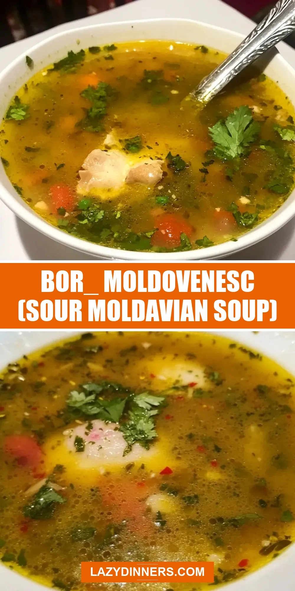 Ultimate Bor_ Moldovenesc (Sour Moldavian Soup)