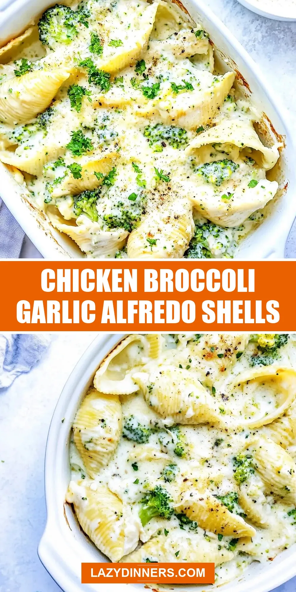 The Best Chicken Broccoli Garlic Alfredo Shells Ever