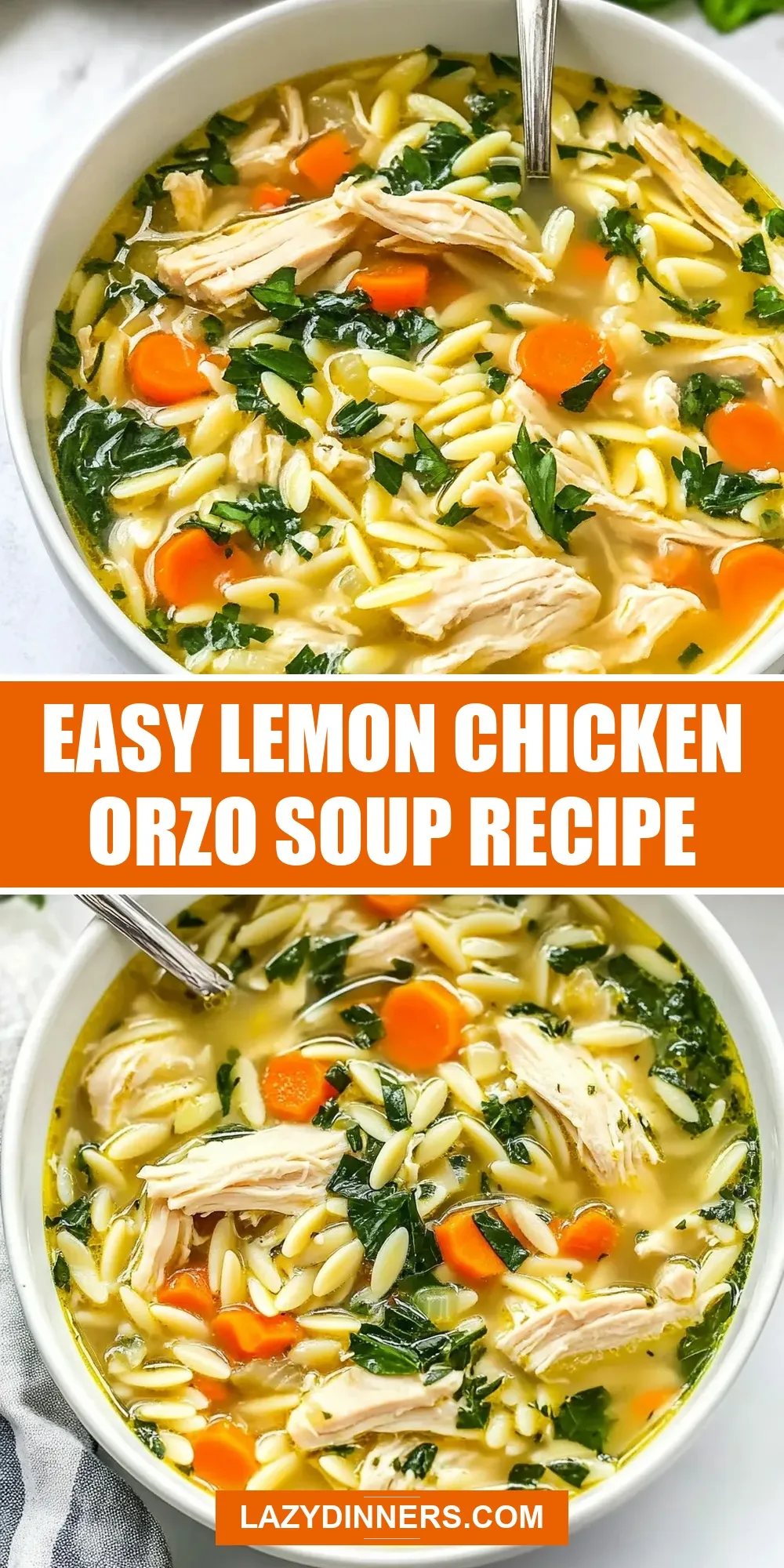 Easy Lemon Chicken Orzo Soup (Healthy & Delicious)