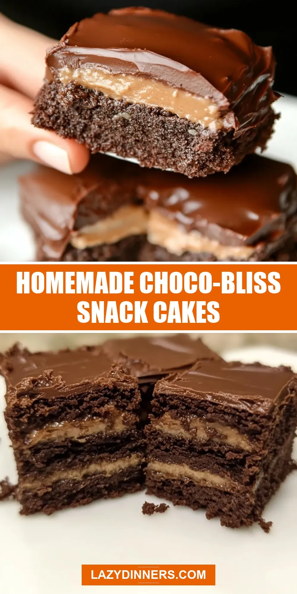 Homemade Choco-Bliss Snack Cakes Recipe